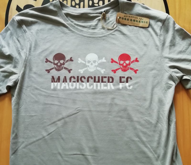 MAGISCHER FC T-Shirt hellgrau
